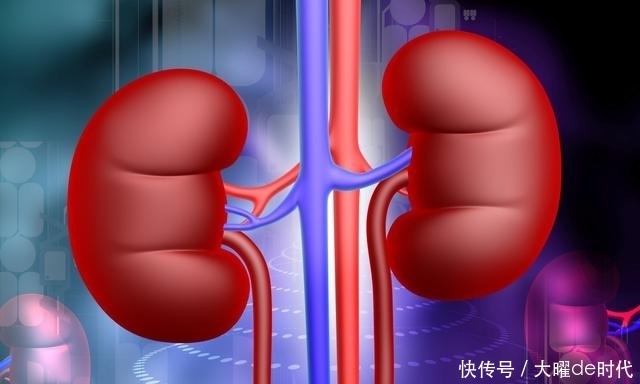 每天多喝水,会增加肾脏的负担吗?专家:健康喝水,做到这4点