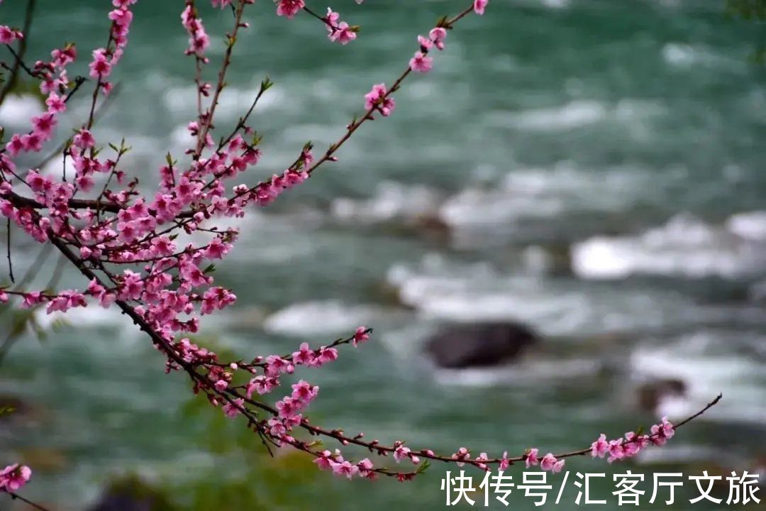 丙察察|桃花盛开，江水如蓝，每年春季丙察察迎来一年中最美的时光