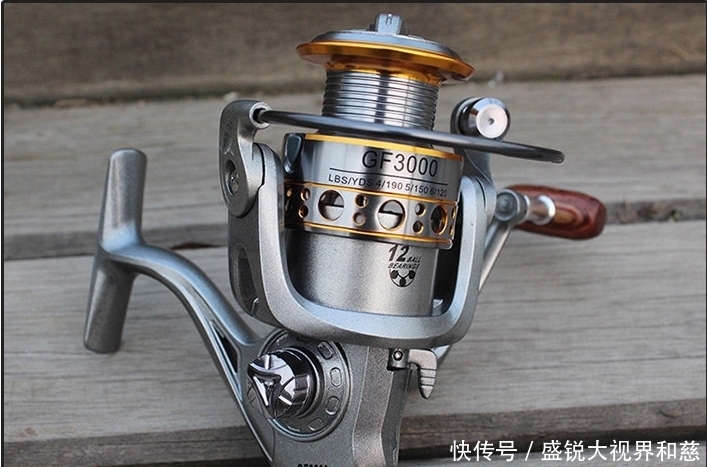 装备|浅谈钓鱼入门装备(三)