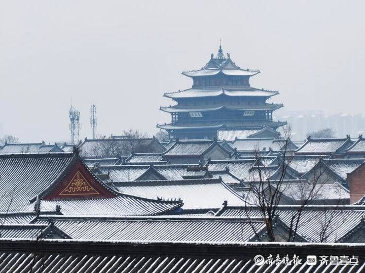 邢台|雪！雪！雪！聊城雪景大片来了，美翻天……