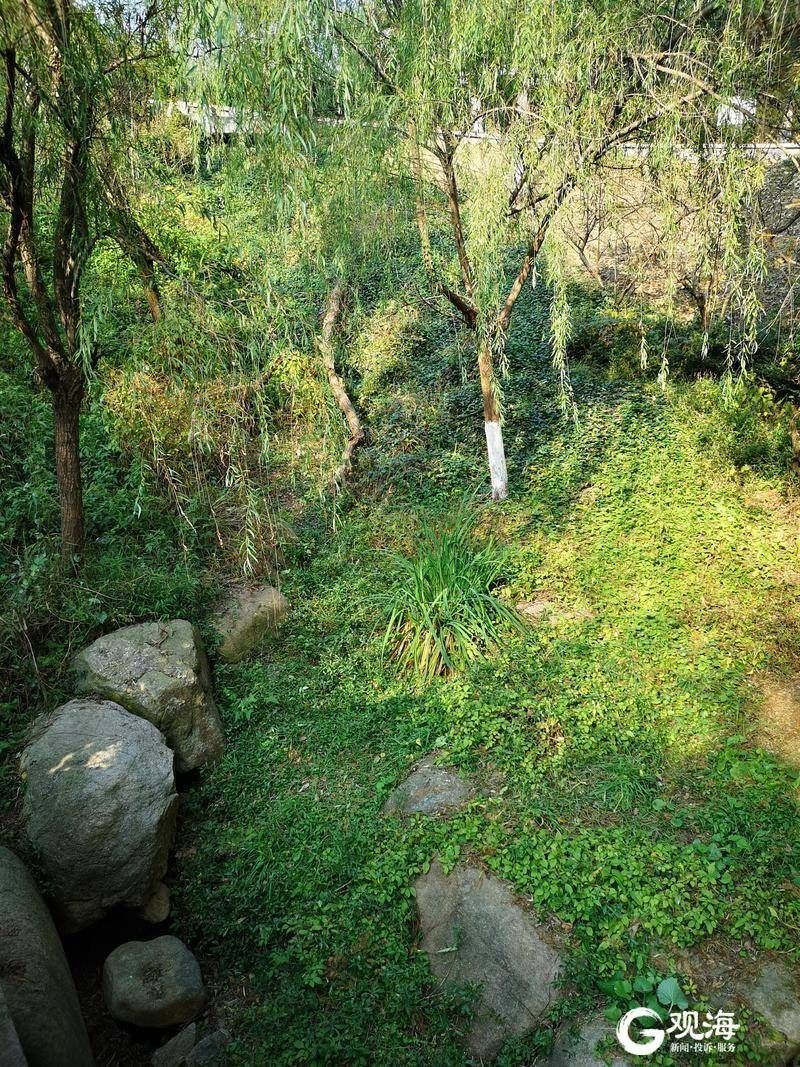 植物园|青岛植物园：冬日赏景好去处