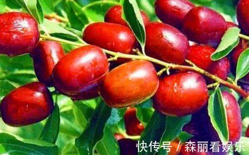 强身健体|女性不想变老太婆,常吃3物,健脾开胃,促进消化,延缓衰老