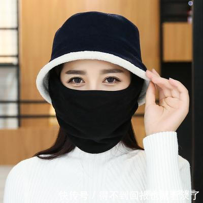 浣熊|20个冷知识不懂没关系，但绝对不能不知道，因为他们太常见了