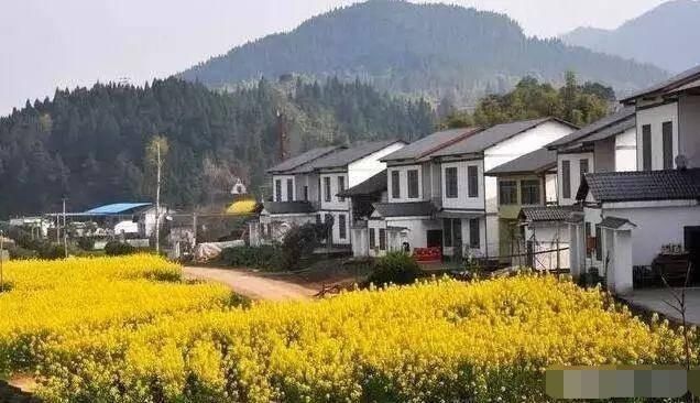 养老|宅基地改革后,城里人可以下乡买房养老了吗这可能是最好的答案