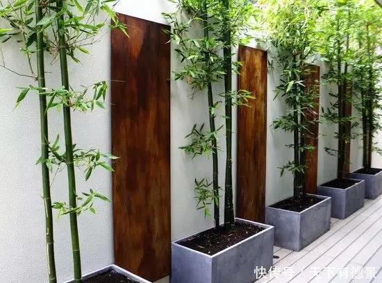 庭院,也需要断舍离