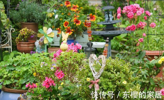 根系|花草换盆旺季来临，学会“三看三观察”，换盆就是小菜一碟