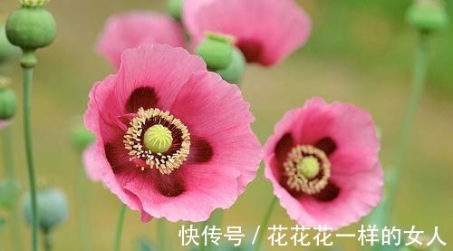 桃花运|10月人缘很旺，会招来桃花运，容易成功脱单的四个星座