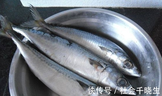 手软|立秋了,遇到鱼别手软,无法人工养殖,营养价值高