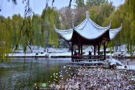 初雪|立冬初雪 北京市属公园美翻天！