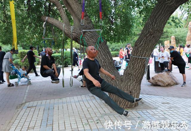低头族|沈阳1棵大树上“吊满”许多大爷,知情人说这有名堂,看是啥