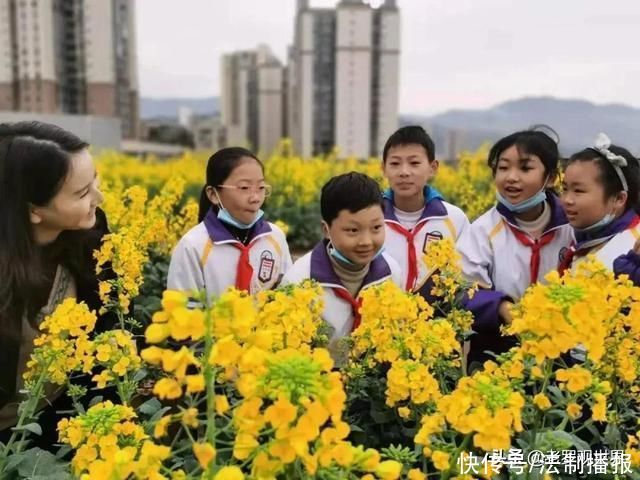 美成仙境!巴中通江“春天的颜色”来了