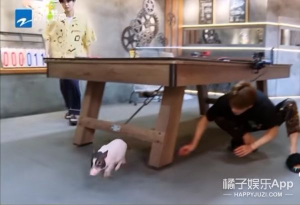 它逃,他追,它…跑的更飞?