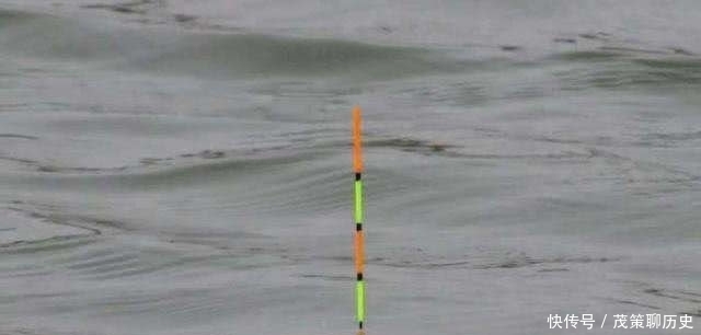 野钓二十年,调漂唯有这3个关键才够劲,钓友:漂相稳、准、狠