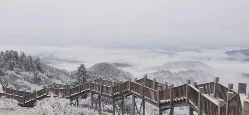 老年|成都这里又下雪了！春日雪景美如童话