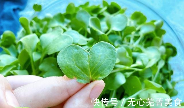 毛菜|秋天遇到这种蔬菜,再贵也要买,营养丰富,脆嫩爽口,去秋燥补钙!