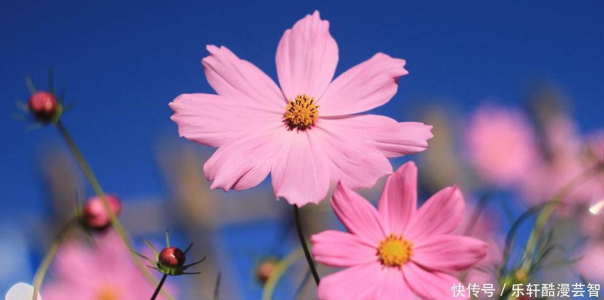 十二星座男|揭秘十二星座男分别会对具有什么优点的女生着迷