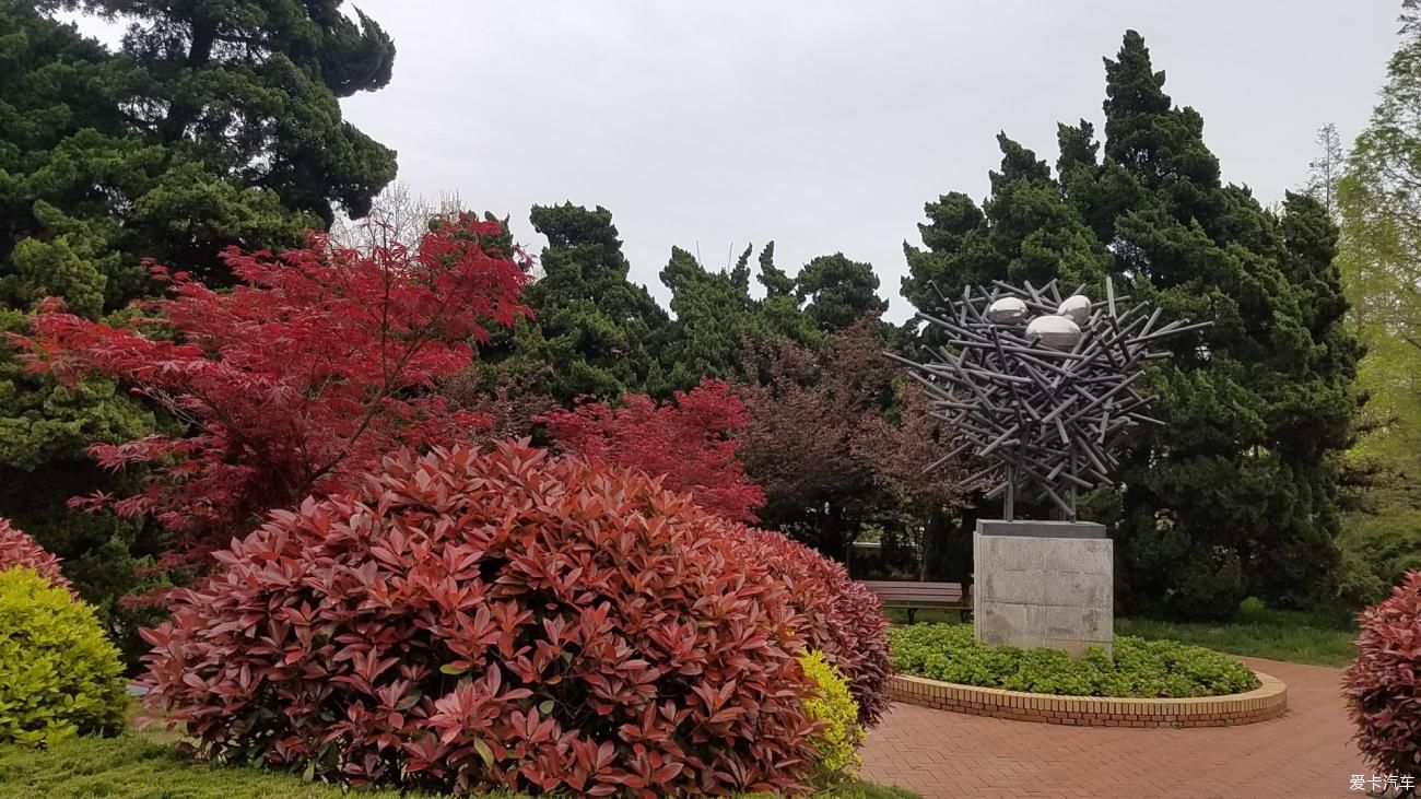 大海|《年终盛典》从西北来到青岛，就是想看看梦中的大海