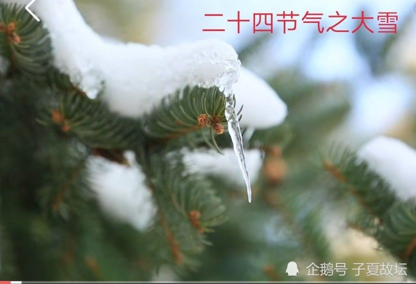  九天|大雪节气：万树有花春不红，九天无月夜长白