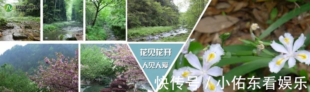 大庸古城|大庸古城《遇见大庸》！开启跨越600多年的时空对话