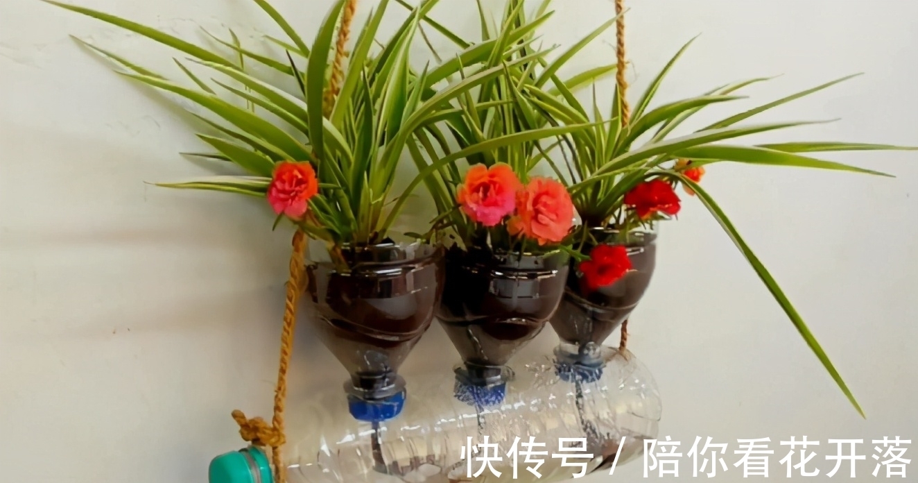 养花人都有的“迷惑行为”,只有爱花之人才懂,看看你中了几条