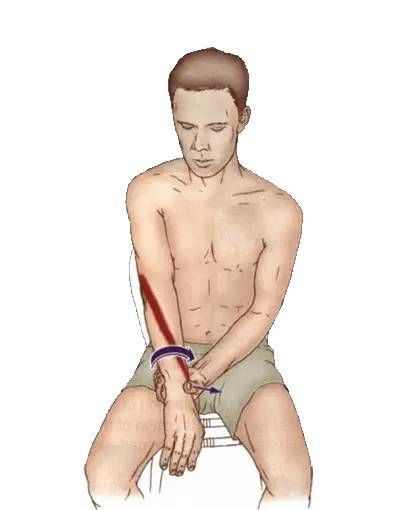 腹外斜肌|你要的拉筋，都在这里！