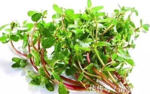 异常|湿气重不重,看嘴巴,若出现3种异常,可吃5物祛湿,不要拖