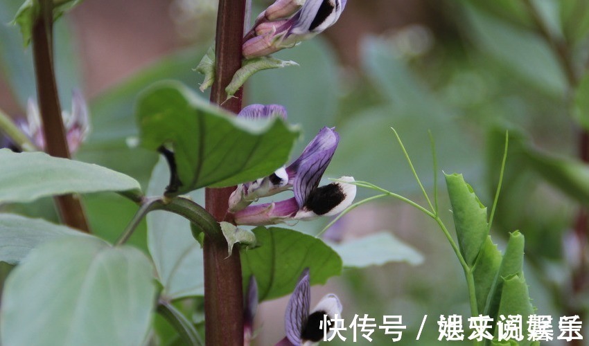 十二生肖|被财神“青睐”的三大生肖女，花钱如流水却从不差钱，越花越富有