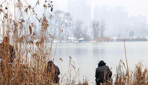 冬季钓鲫鱼,天气是根本,选择这些天气出钓,上鱼更多!