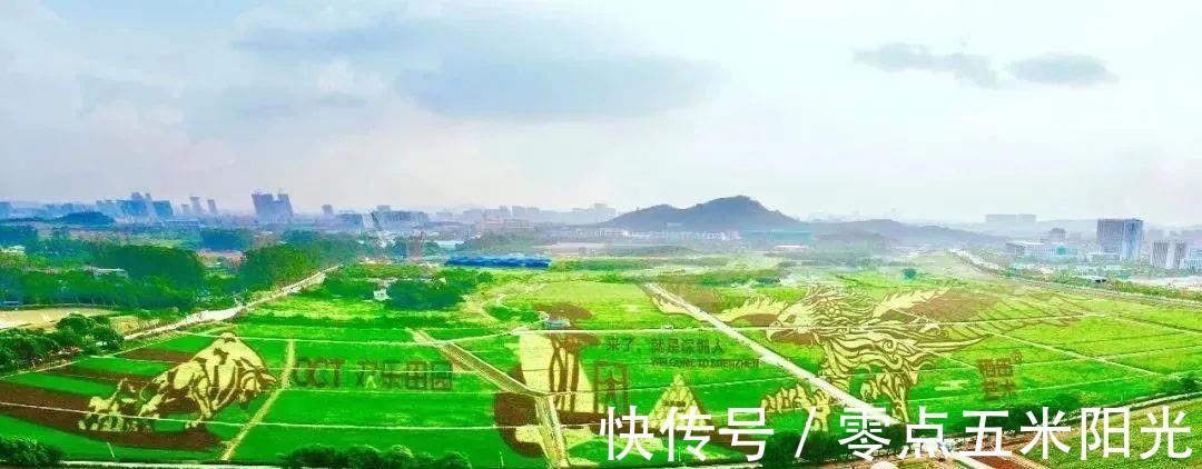 开发商|光明区,凤凰城-塘家第一工业区旧改