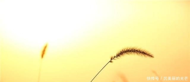 一幅|唐诗中的山雨田园真是美,28字如同一幅画,丝毫不亚于王维之作