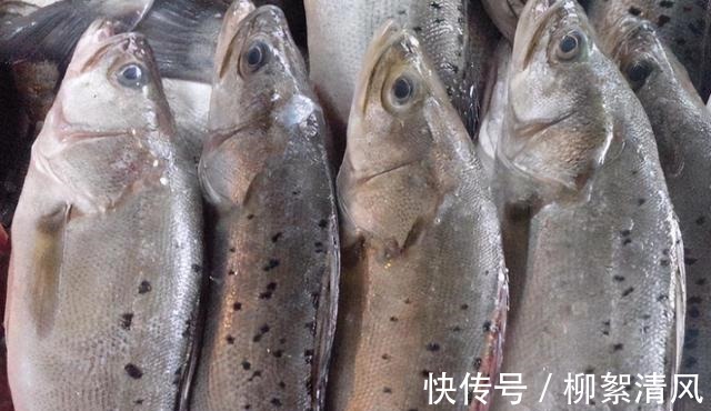 清蒸鲈鱼|上市场买鱼，这3种才是“营养首选”！一说名字老板便知你是行家！
