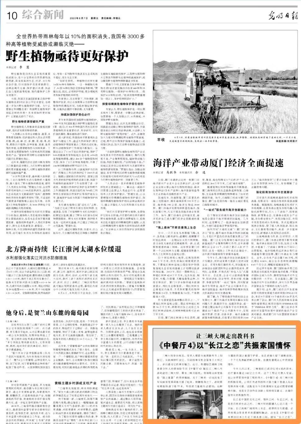 中餐厅4|从职场到社交,《中餐厅4》宛如一部当代青年社会化生活“指北”