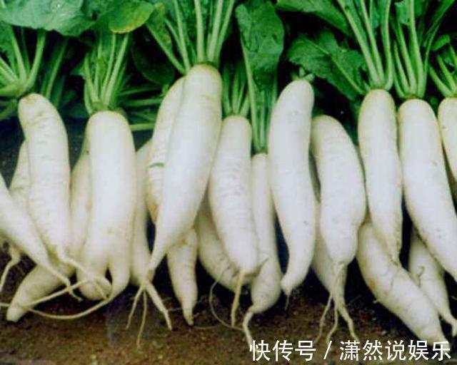 长寿|120岁长寿老人饮食平常多吃“3道红、3道白”,无需保健品