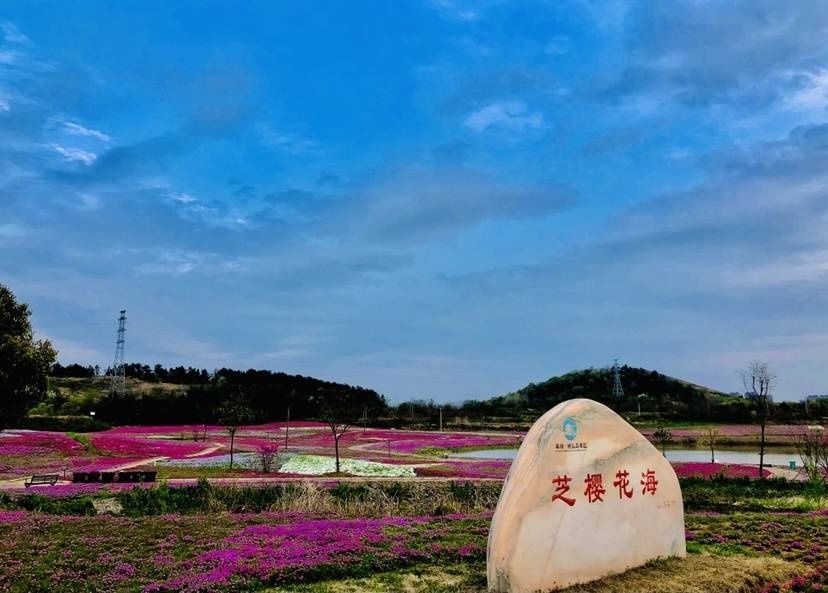 姥山岛|风景这边独好！2021年巢湖姥山岛美景美图欣赏！