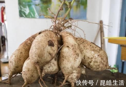 维他命|便秘“终结者”找到了, 每天吃一点, 润肠道, 清宿便, 体重悄悄降