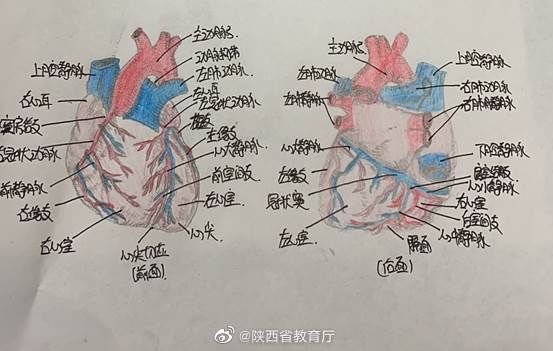  种颜色|护理学的笔记，需要多少种颜色？