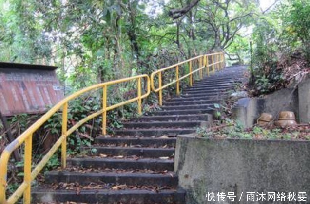 山露水|实拍叶问墓地:教出武术宗师李小龙,埋骨偏僻处无人打扫略显凄凉