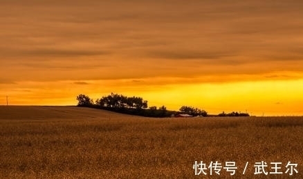 七律#刘长卿水平高超的七律,采用反跌手法,细腻生动,不愧为中唐才子