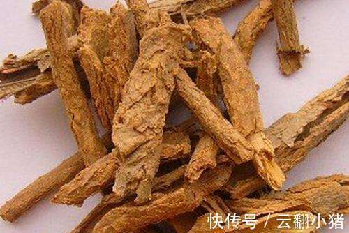 地骨皮|此草专克糖尿病,每天空腹喝2杯,高血糖不来扰,早知早好