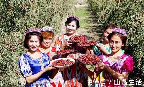 人参|枸杞和“它”一起泡，营养比“人参”还高！肾不再虚，失眠都好啦