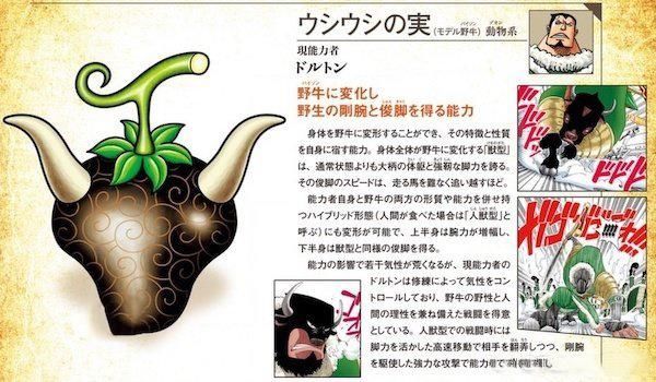 资料|海贼王官方资料:又有两颗果实样式公布，艾斯小说迎来全新图透