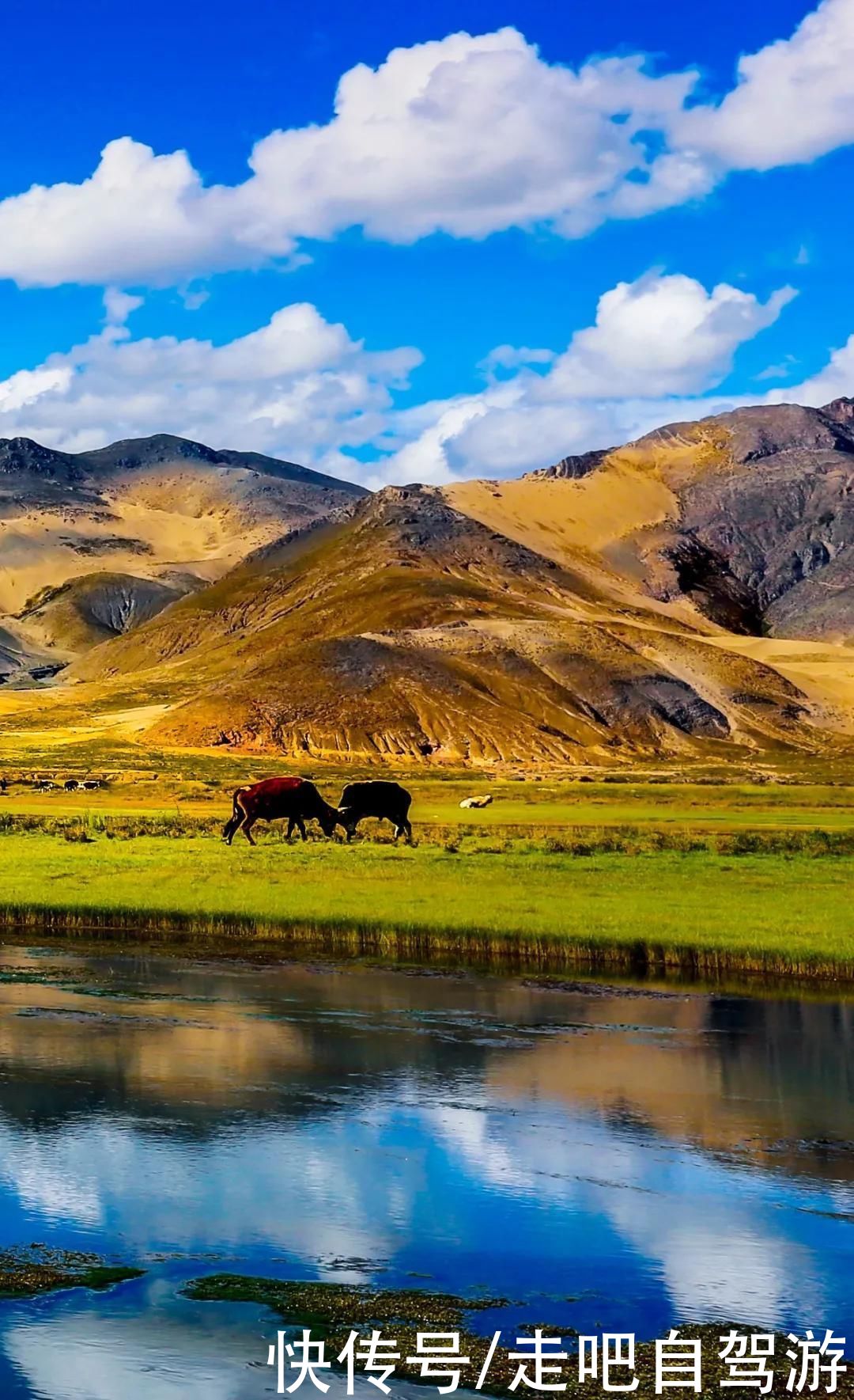 天山脚下的边陲小城，名气虽不及伊犁，但风景美如画