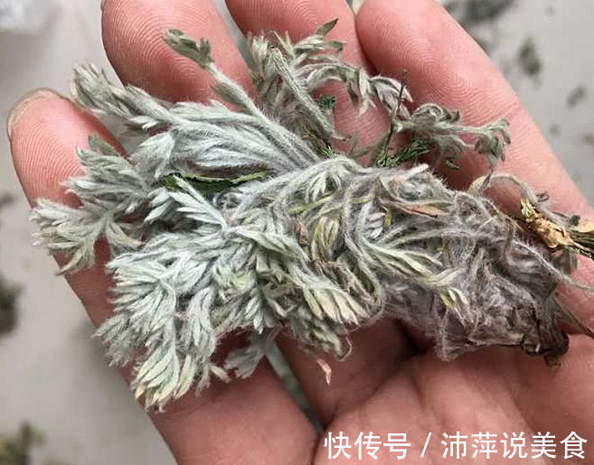 它被号称“草中之王”,能当调料还是一味良药,价值宝贵得重视
