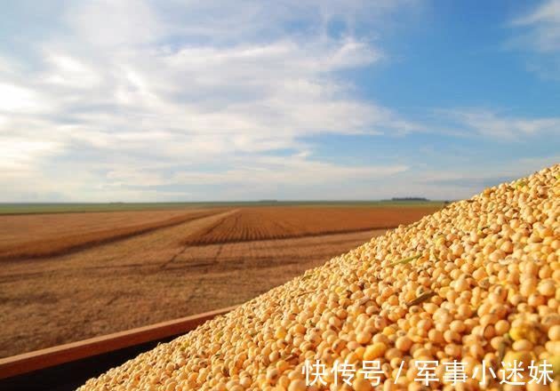 冬枣|女性爱美,要学会吃的食物,去皱抗衰,排毒消脂,越吃越年轻