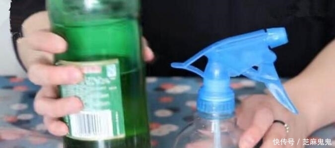 阿司匹林|快死的绿萝千万别浇自来水!喝了这3种水,植物起死回生猛爆棚