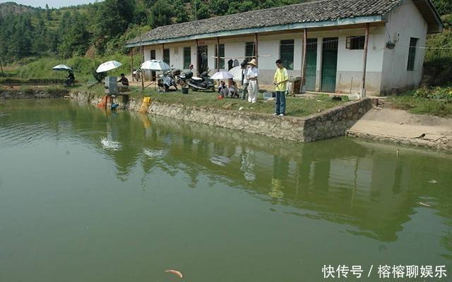 钓友|别人钓大鱼我钓小鱼，一上午钓了一小盆，却无人认识它，求鉴定