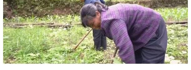 紀(jì)錄片《無窮之路》收官，陳貝兒：一路上看到很多人都有滿足的笑容