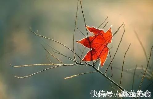 艾灸|肺，真正的先天之本所有养生都始于肺，3招疏通肺经，百病难侵