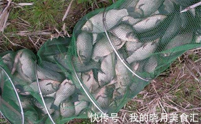 钓法|冬钓6字要诀:冬季常“空军”不要怪天冷,是这些要点没掌握