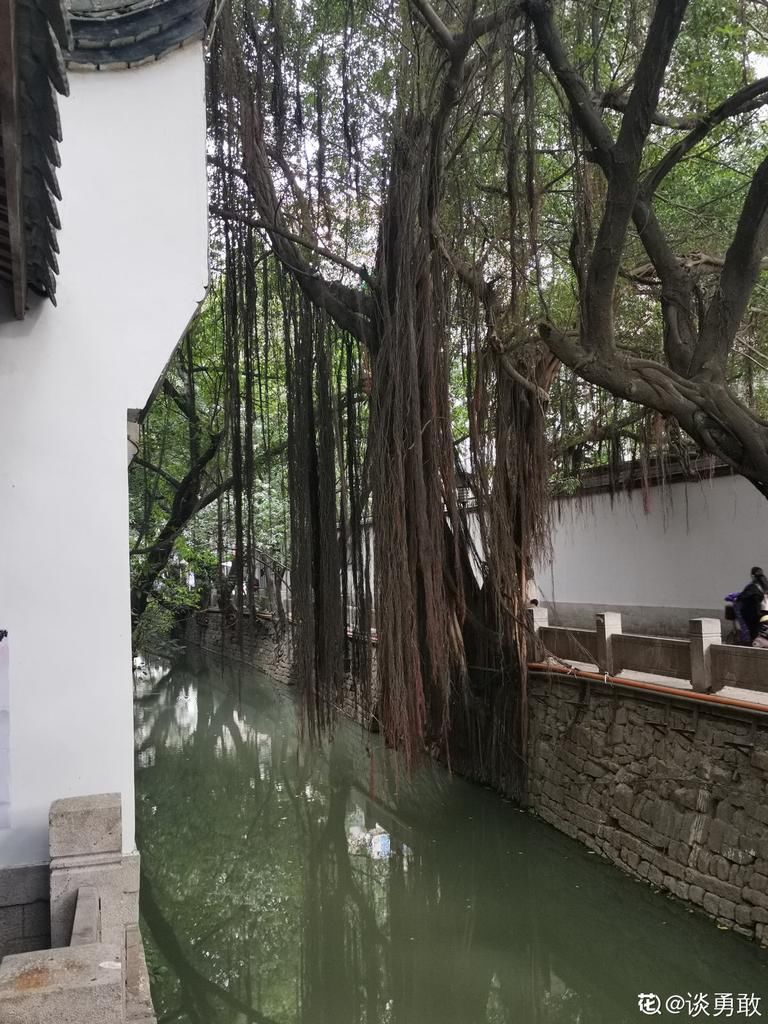 院子里养了一墙的花，邻居却不高兴了，差点吵起来